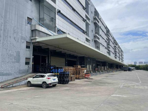 Serviços de valor acrescentado livres de zona de comércio de Guangzhou da carga