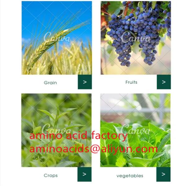 Chelated Micronutrients Fertilizers Formulated To Prevent Nutrient Fixation And Promote Absorption By Roots And Foliage