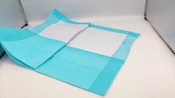 22 X 22 Inch Training Pads Pet underpad Disposable Underpads for Adult dogs and Puppies