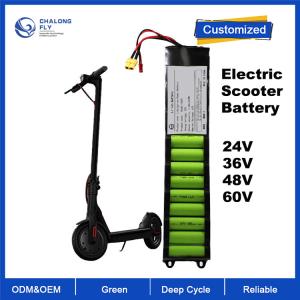 OEM ODM LiFePO4 bateria de lítio bateria de scooter elétrico 24V 36V 48V para
