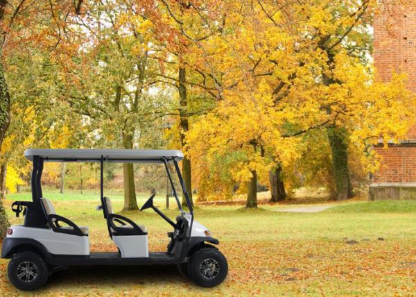 Big Tyre Four Passenger Golf Cart , Electric Motor Golf Cart For Club