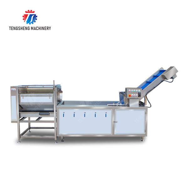 Citrus cleaning production line Fruit Orange Wash Washer Washing Cleaning Dryer processing production Machine