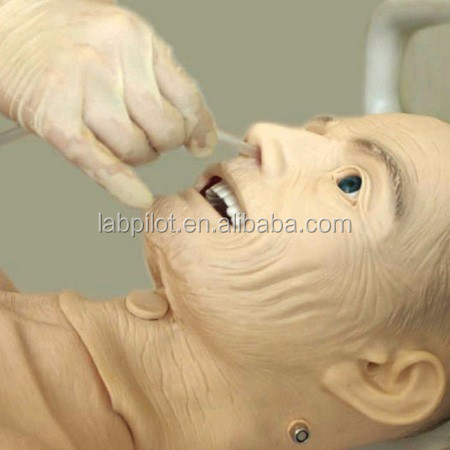 Male Elderly Nursing Dummy for Medical Colleges Catheterization Function Training Too