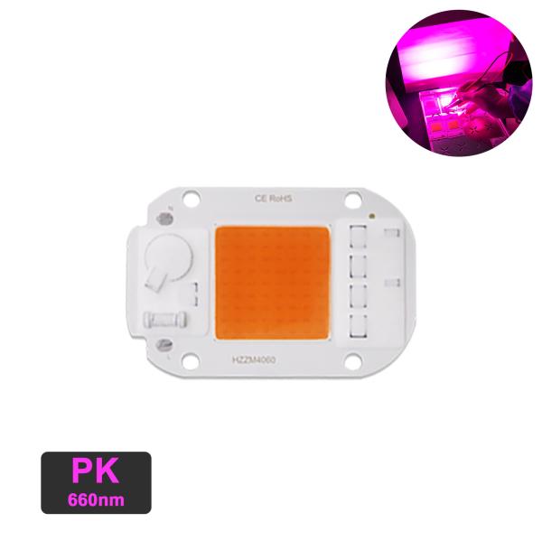 Driverless COB LED Module COB Chip Power 30W Led Grow Light Chip