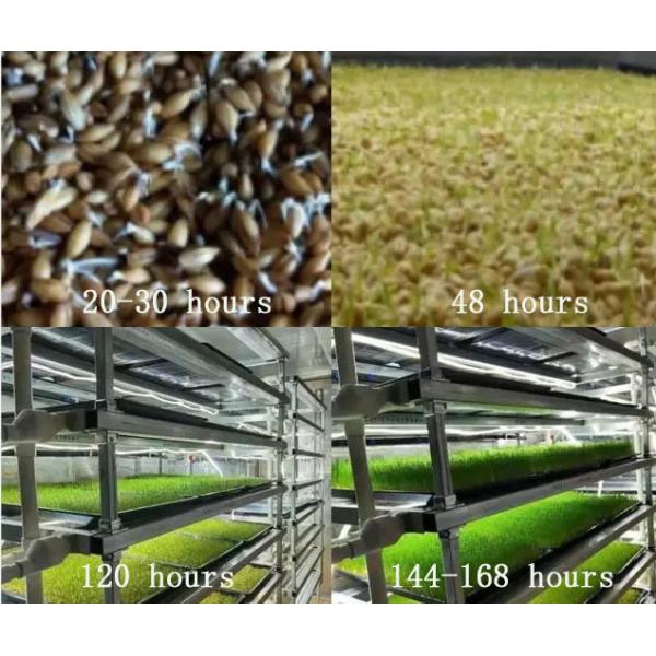 Forraje en contenedores multifuncionales para la cría de flores/hortalizas/semillas de doble capa