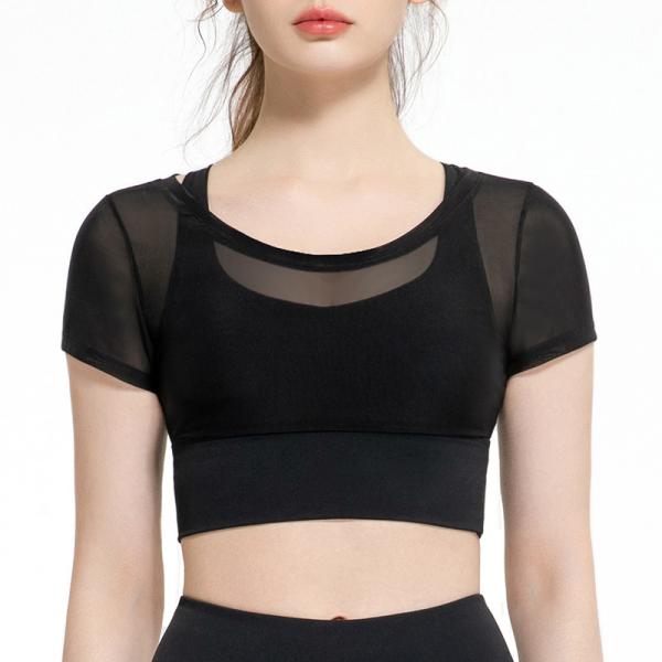Mesh Short Sleeve 2 Piece Womens Sports Bra Running Leisure Yoga Bra