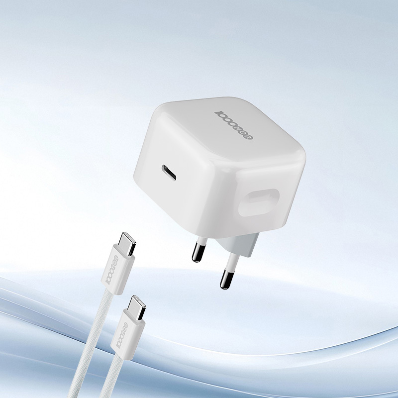 Charger - CK02P