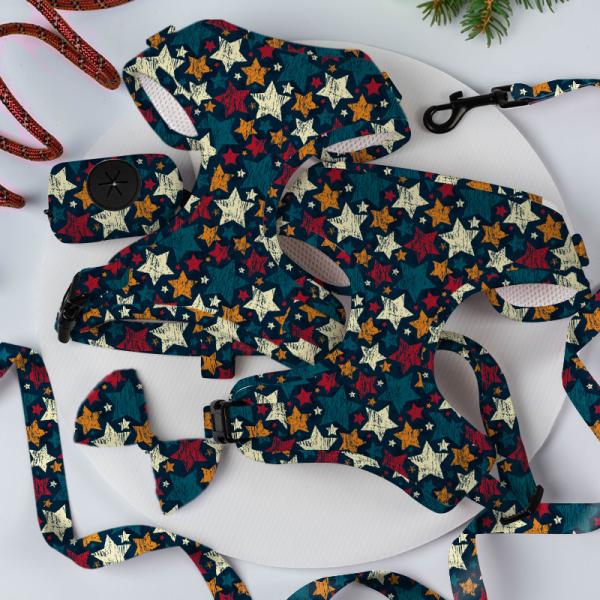 XS S M L XL Puppy Harness And Leash Set Air Mesh Soft Neoprene Collar And Lead Set