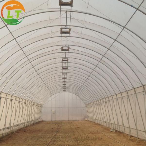 Customized Size Mushroom Growing System for Microgreens in High Tunnel Greenhouse