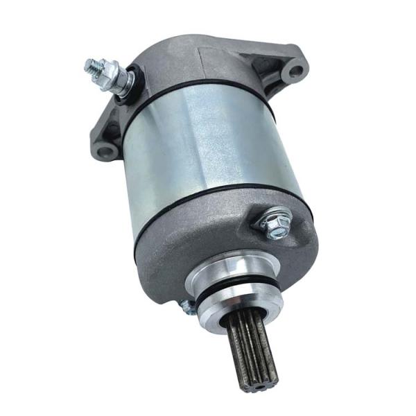 Natural Color Custom ATV Starter Motor for Suzuki LTF400 King Quad Powerful Performance
