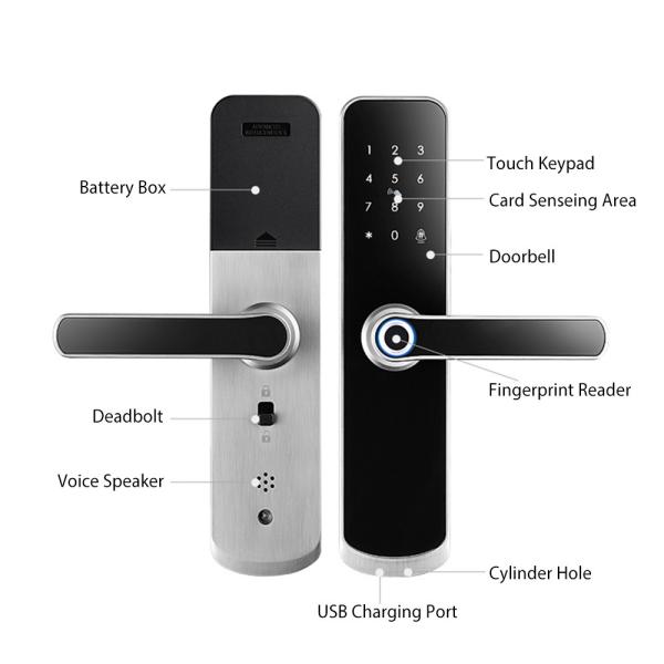 Serrure de porte biométrique automatique d'empreinte digitale d'Uncloking avec IC et la fonction de mot de passe
