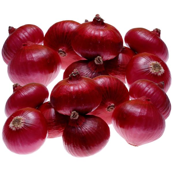 2023 new crop of brand fresh onions red and yellow white onion fresh vegetables in China Chinese onion fresh for sale