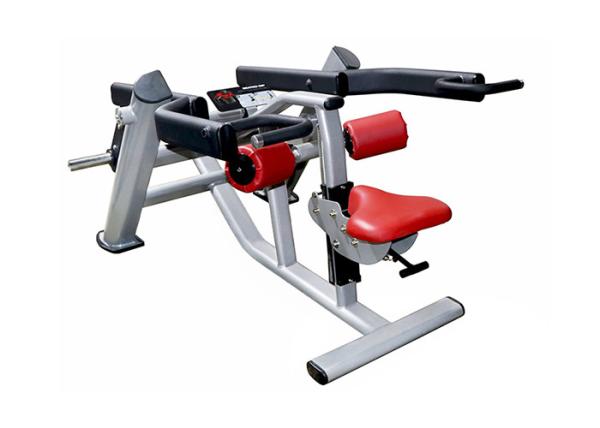 Electrostatic Spraying 300kg Seated Tricep Dip Equipment