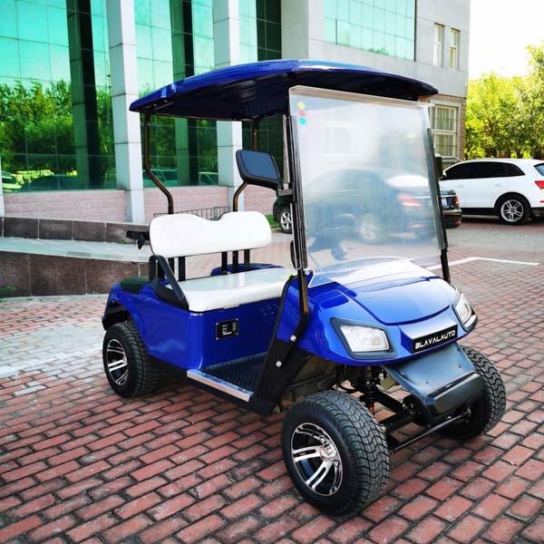 Custom 48V 2 Person EV Golf Cart With Lithium Ion Battery 30mph