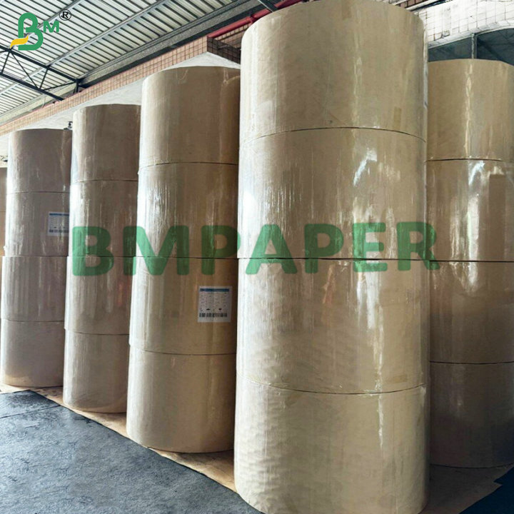 Grease & Leakproof PE PP Coated 300–330gsmFood Container Paperboard for Takeaway Boxes Trays & Lunch Box Production