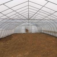 Película de una sola capa del solo del palmo alto invernadero del túnel para los tomates agrícolas