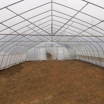Single Span High Tunnel Greenhouse Single Layer Film For Tomatoes Agricultural