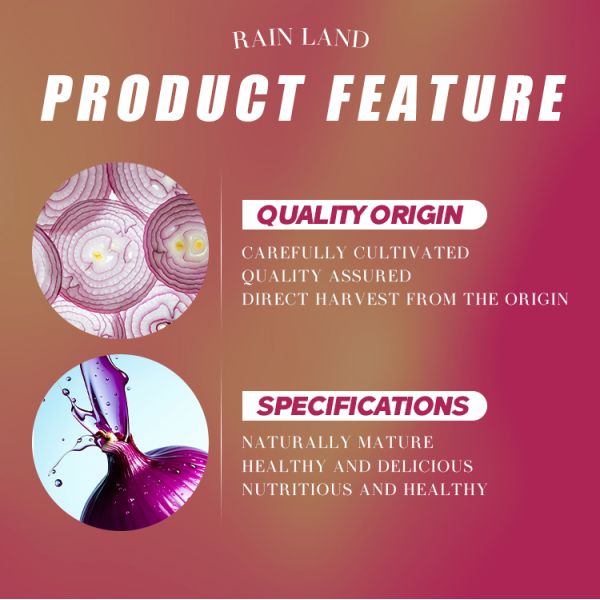 Wholesale Organic 5-8 cm Fresh Red Onion High Demand Agricultural Product with Best Price