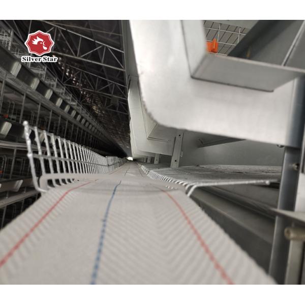 Complete Set Of Laying Hens Breeding Equipment For Chicken House