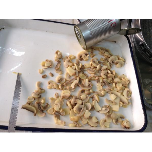 Natural Fresh Taste Canned Mushroom in 130g from Morocco for Your Requirements