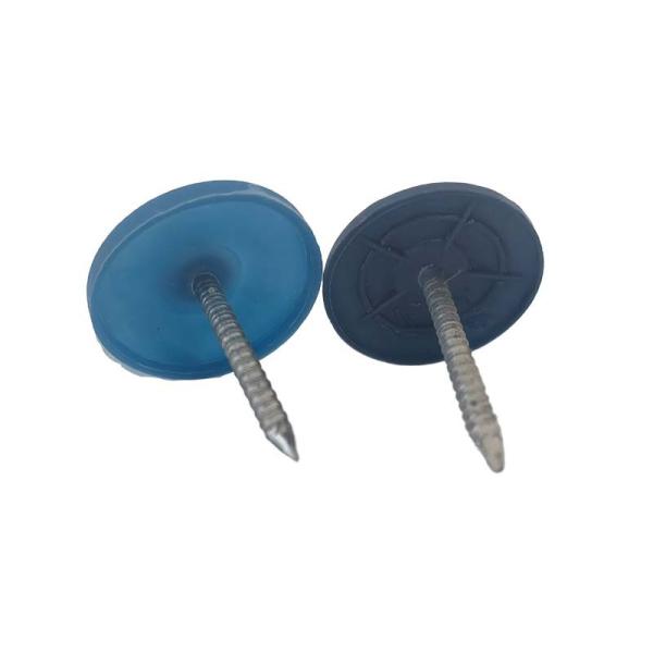 ногти толя оцинкованной стали 7/8inch с пластиковыми крышками нагревают консервацию