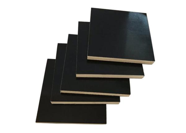 Moisture Proof Poplar Faced Plywood WBP Melamine Glue No Deformation