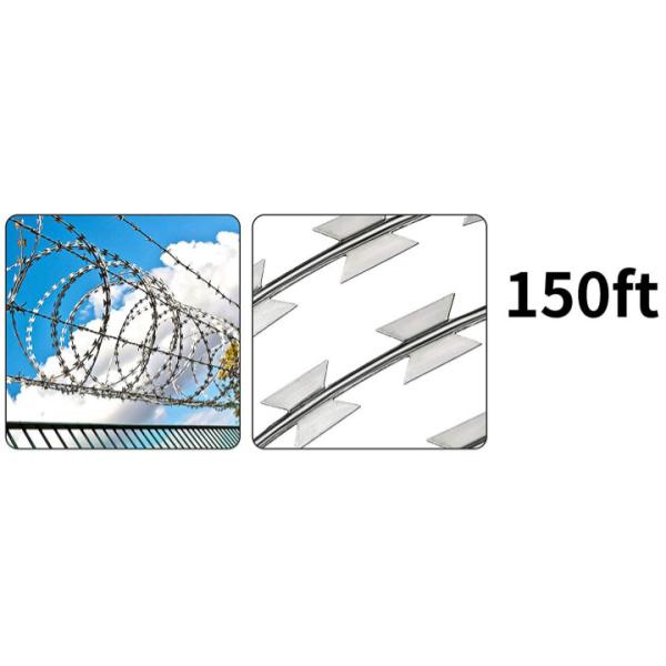 Погружение колючей проволоки бритвы концертины Cbt-65 горячее гальванизированное для анти- разделительной стены пиратства