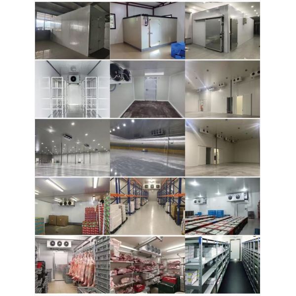 Fruit Cold Room Meat Cold Storage Room Cold Room Vegetable Cold Storage Room Industrial Freezer