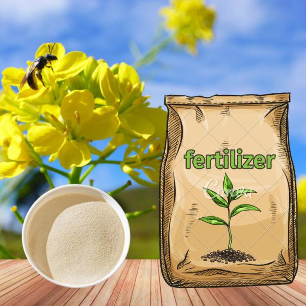 Solubilidade em água Aminal Aminoácido Quelato Boro Fertilizante Orgânico Para Culturas de Campo