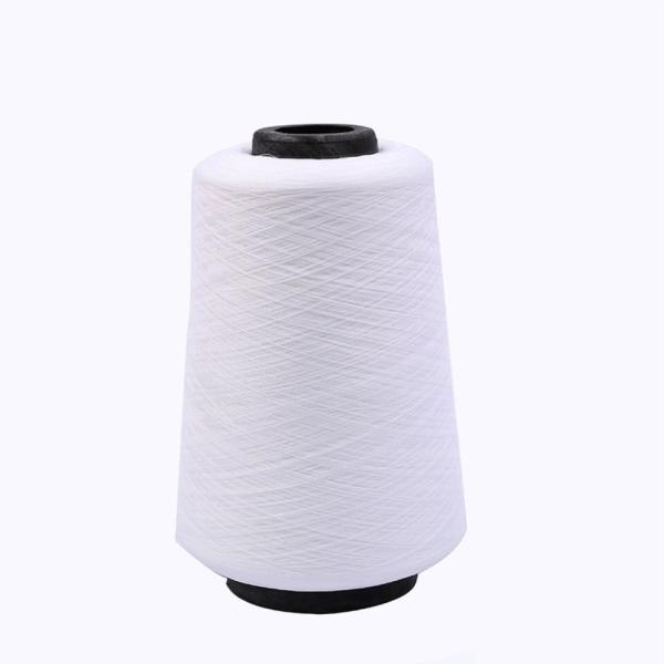 40S/2 20S/3 Medium Thick Polyester Thread for Luggage Clothing Flatbed Quilted Pagoda Thread 100% Polyester Raw for Weaving