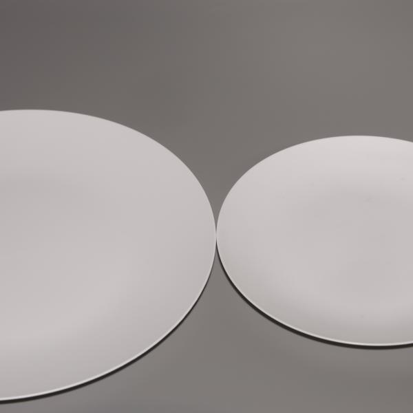 Logotipo personalizado Eco-friendly Microondas Safe Multipurpose Food Tray