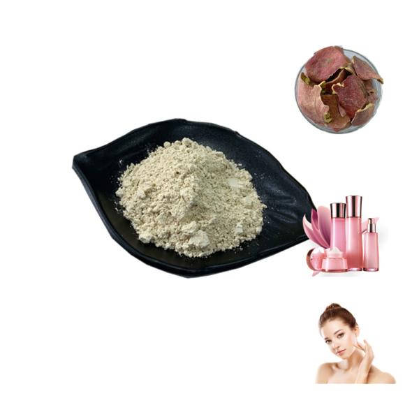 Health Care Pomegranate Peel Extract Water Soluble Powder Ellagic Acid 40%