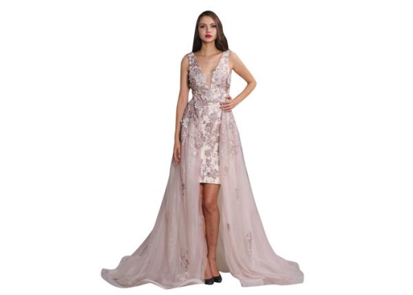 Applique High Low Tulle Train European Style Evening Dresses Formal Dress For Women