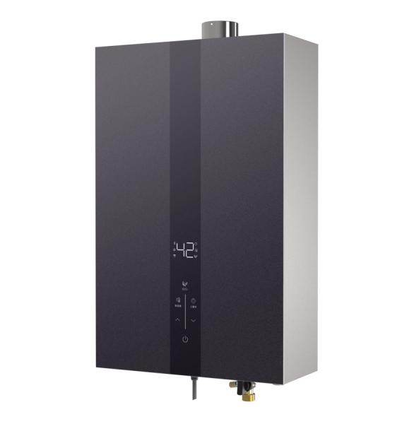 12L to 16L Instant Hot Water Heater Gas Wall Mounted Tankless Gas Water Heater for Home Bathroom Anti-Corrosion