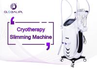 Corpo que esculpe o vento da máquina de Cryolipolysis/sistema de refrigeração da água e do semicondutor