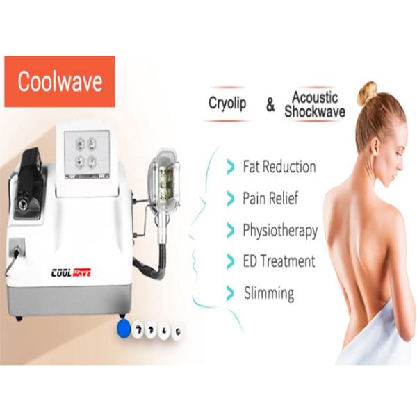 1 ударная волна портативное Cryolipolysis ручки Cryo уменьшая машину