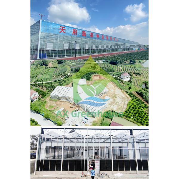 Anti Fog Hollow Tempered Glass Greenhouse Panels Greenhouse Roof Cover
