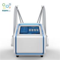 máquina gorda do emagrecimento do gelo de Cryolipolysis dos aplicadores 100V quatro