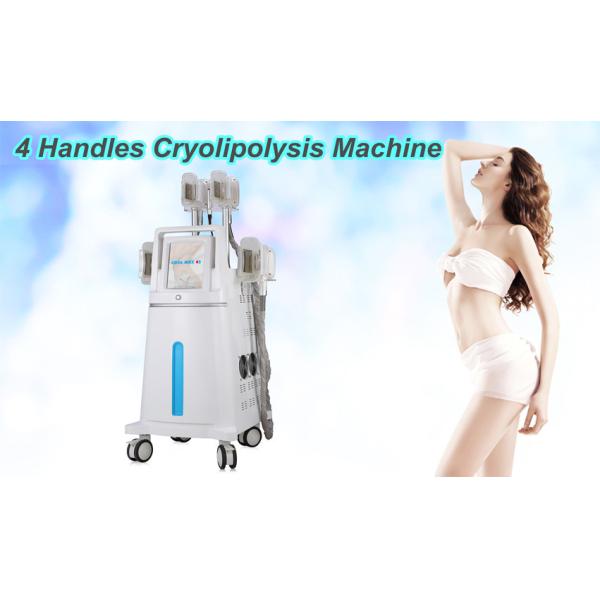 Vacuum Cryolipolysis Slimming Machine / Four Handles Coolsculpting Equipment