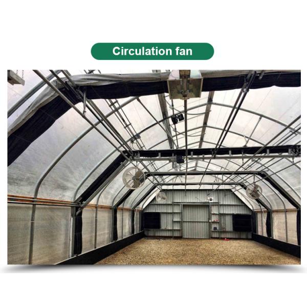 Сельскохозяйственные светочувствительные теплицы - идеальное решение для выращивания грибов