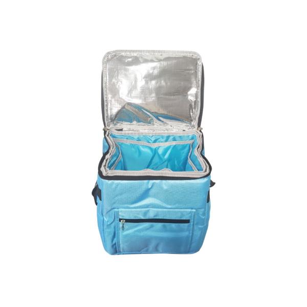 Sac isotherme avec blocs réfrigérants pour produits thermosensibles, transport de sang, sac froid