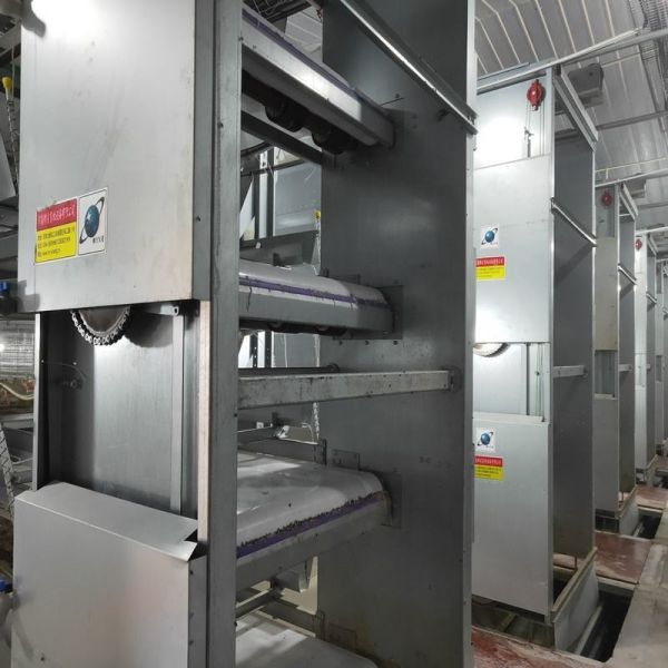 Hot Dip Galvanized H Type Layer Cage High Capacity Automated Poultry Cage with Automatic Feeding for Large Poultry Farm