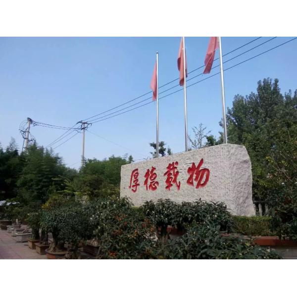 0-9 Печать цветной алюминиевой фольги для очистки упаковки для очков