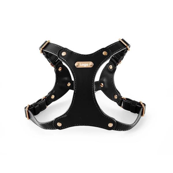 Hot Selling Other Pet Harnesses Pet Dog Leash Training Harness For Dogs