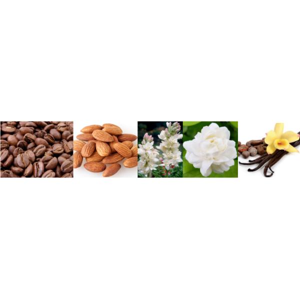 Concentré Good Girl Parfums et huiles parfumées Jaune clair ou liquide incolore