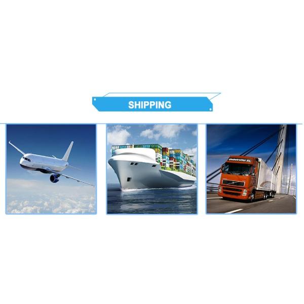 ICU Five Functions Hospital Bed Electric Nursing Bed For Patient