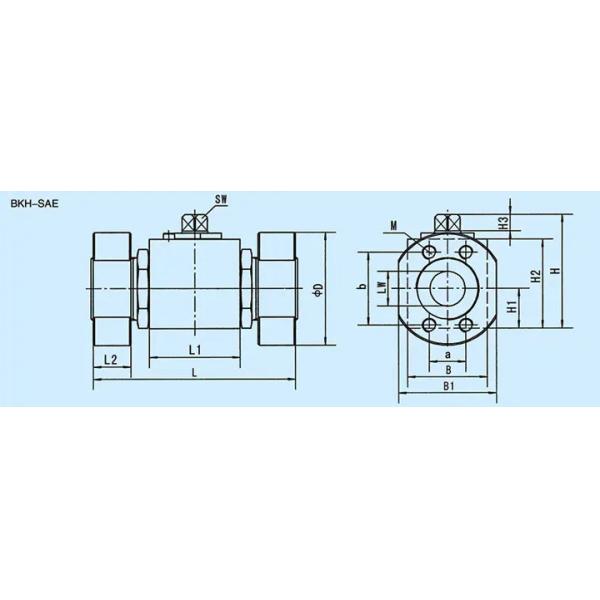 Flange Hydraulic Manifold Control Valve BKH-SAE Stainless Steel High Pressure Ball Valve