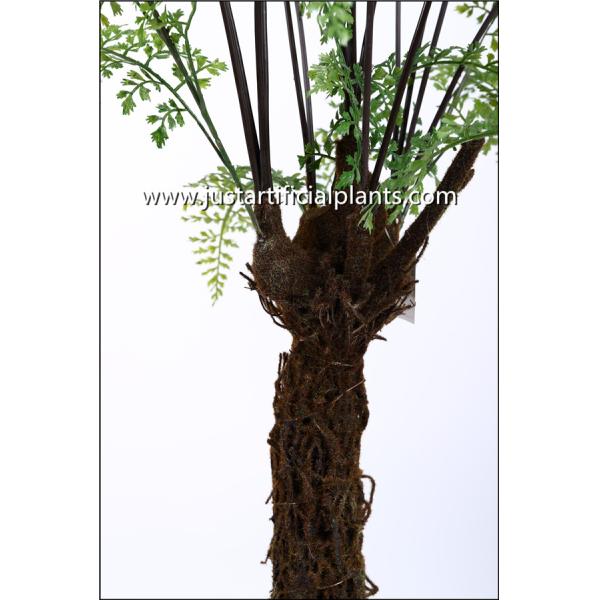 Размер тропической искусственной на открытом воздухе пальмы папоротников экологический подгонянный