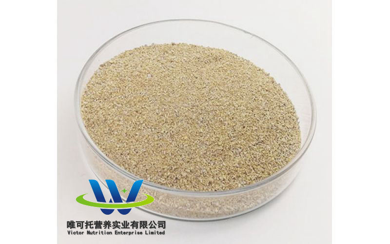 High Purity L-Threonine 98.5% Powder Feed Grade Threonine with Customization
