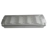 A superfície do teto montou a luz de emergência IP65 impermeável 50Hz/60Hz não mantidos
